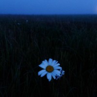 Истина - ДОМА mp3 скачать